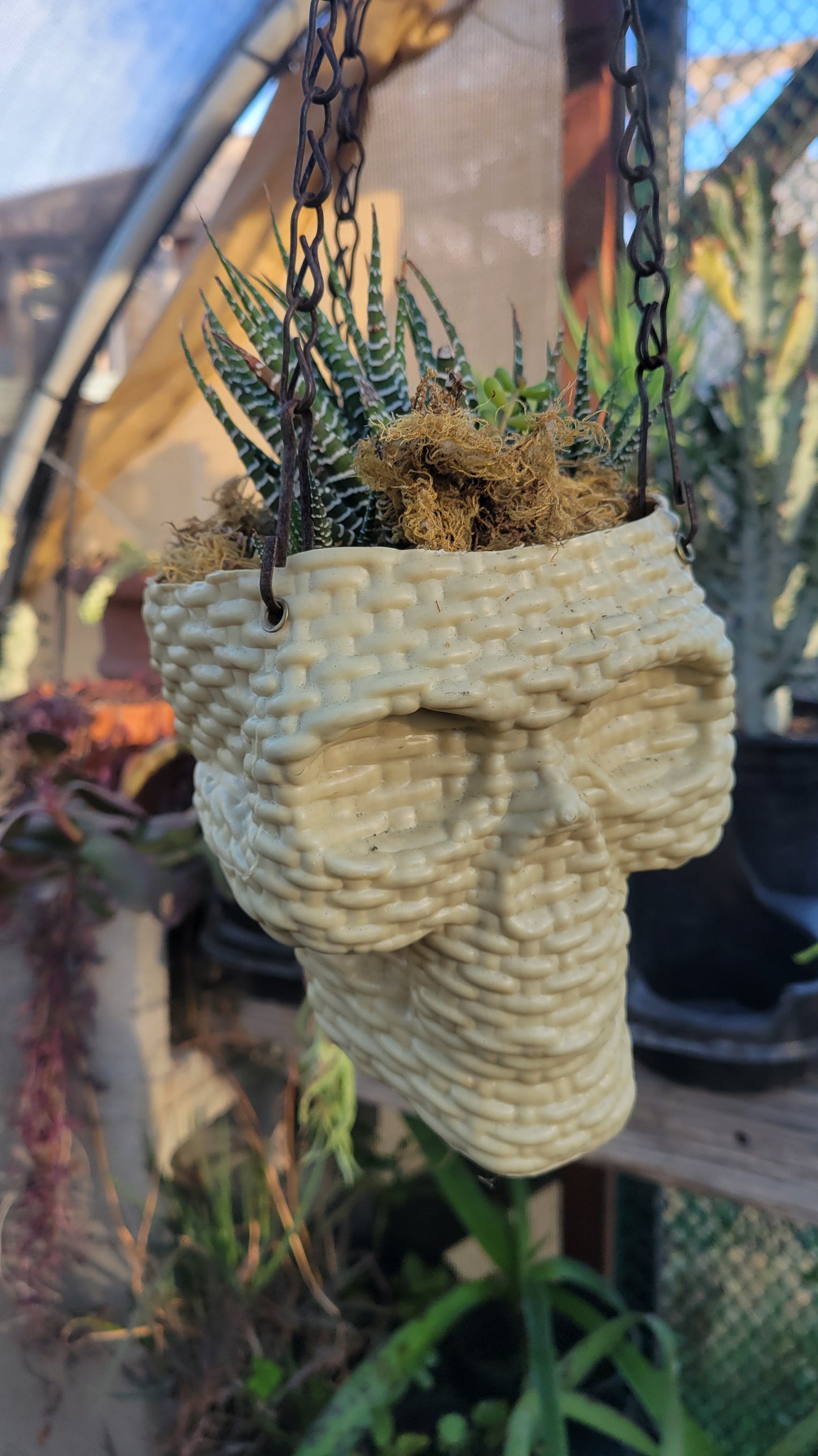 Skull Planter Large