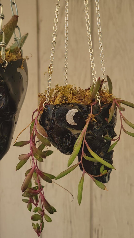 Skull Planter Small