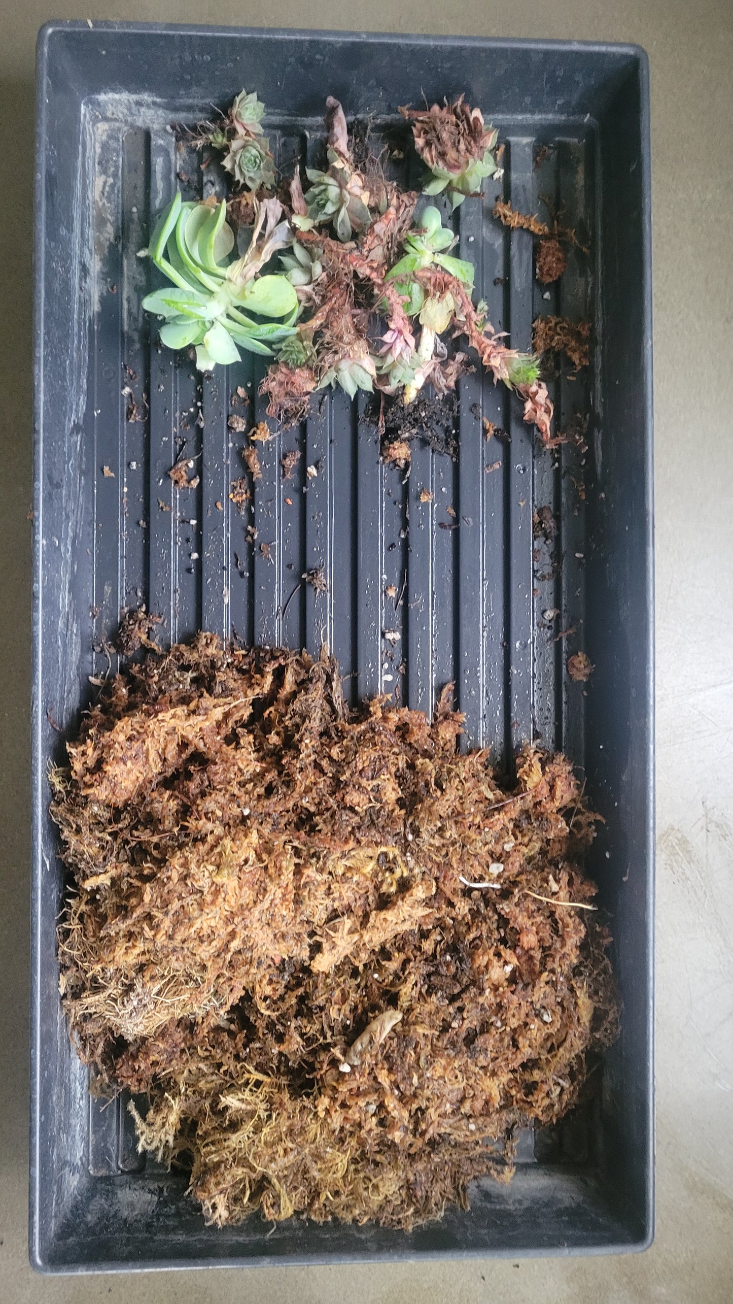 Wreath Making Class 12/20 7pm