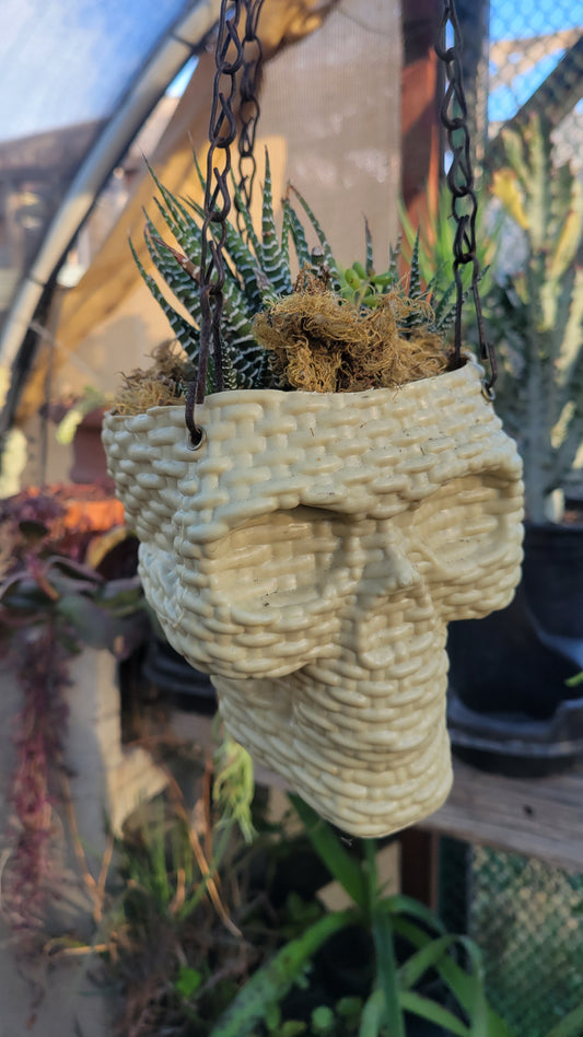 Skull Planter Large