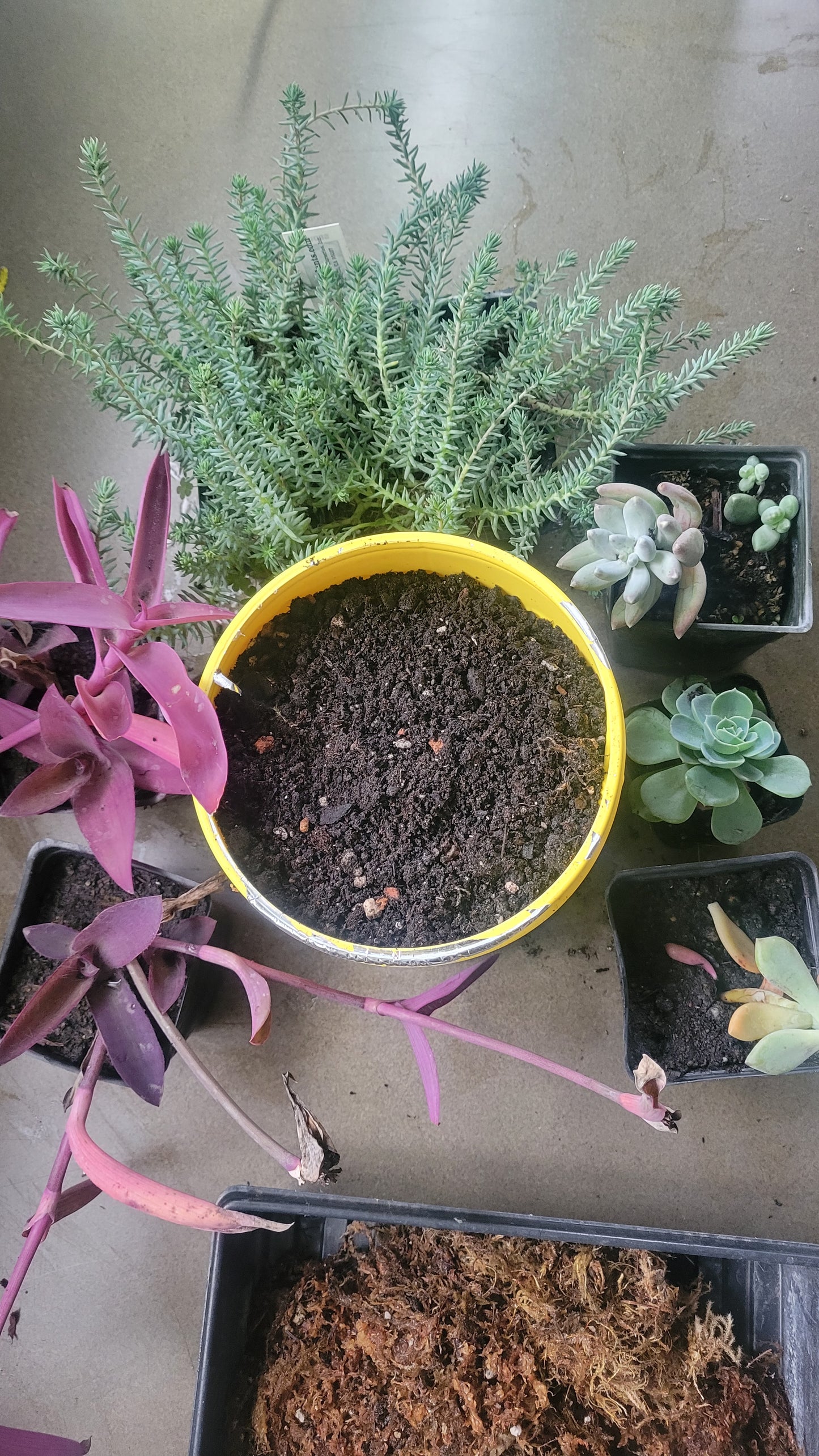 Wreath Making Class 12/20 7pm